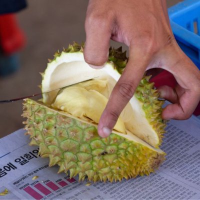Travel for That Stinky Fruit - Durian - South-East Asia - The Wise Traveller