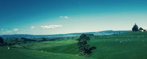 12 Things I Wish I Knew Before My First Trip - The Wise Traveller - New Zealand