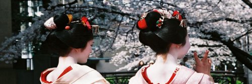 15 Shocking Facts About Japan - The Wise Traveller - Geisha