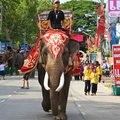 5 Wonderfully Weird Thai Fesitvals - The Wise Traveller - Thailand