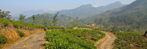 A Clenched Fist - The Knuckles Mountain Range - Sri Lanka - The Wise Traveller