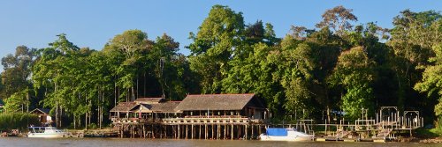 A Gift to the Earth - The Kinabatangan River - Sabah, Borneo - The Wise Traveller