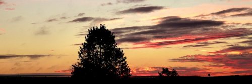 A Great Pilgrimage Walk - El Camino de Santiago - Spain - The Wise Traveller