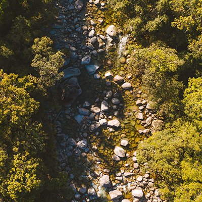 A Sacred and Spiritual Site - Mossman Gorge - Queensland, Australia - The Wise Traveller - 140407-2019_TNQ_MossmanGorge-17_TA-2