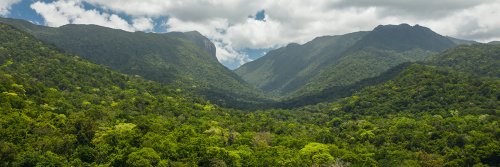 A Sacred and Spiritual Site - Mossman Gorge - Queensland, Australia - The Wise Traveller - 149121-2022_TNQ_MossmanGorge_DownUnderTours_AndrewWatson_2500-6