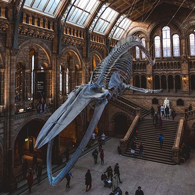 Alternative London - 10 Unusual Museums To Visit - The Wise Traveller