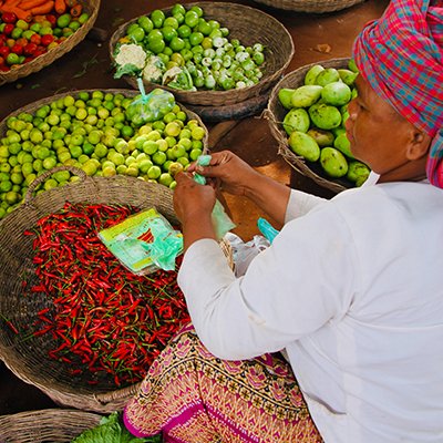 Black Fish, Red Earth, and Scams - Roluos Markets, Siem Reap, Cambodia - The Wise Traveller