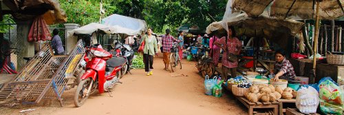Black Fish, Red Earth, and Scams - Roluos Markets, Siem Reap, Cambodia - The Wise Traveller