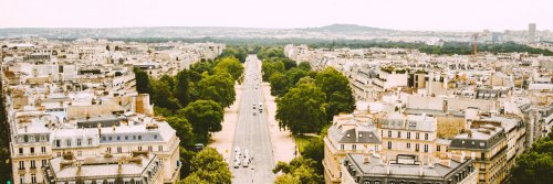 Blossoming Beauties - Unveiling the Secret Gardens of Spring in Paris - The Wise Traveller