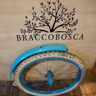 Bracco Bosca Winery - Atlántida - Uruguay - The Wise Traveller