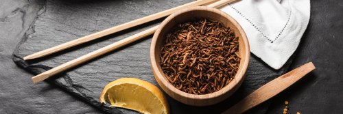 Bugs on the Menu - Foodie Travel - The Wise Traveller