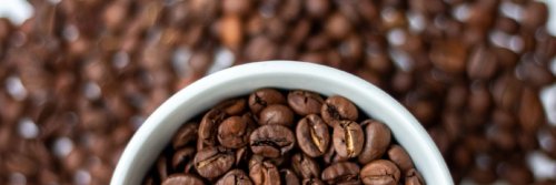 Caffeine Addicts’ Travel - The Wise Traveller