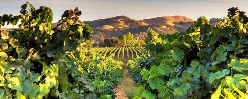 California’s Winemaking Secret—Livermore Valley - The Wise Traveller