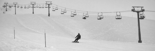 Chasing Snow Monsters and Monkeys - Snowboarding Destinations in Japan - The Wise Traveller