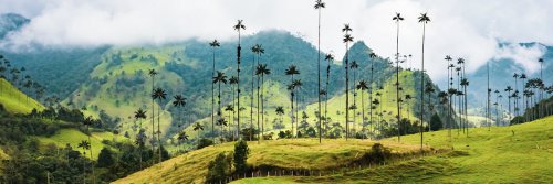 Countries retirees and digital nomads are eyeing up in 2026 - The Wise Traveller