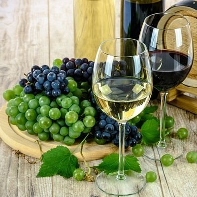 Discovering Israel’s Wineries - The Wise Traveller