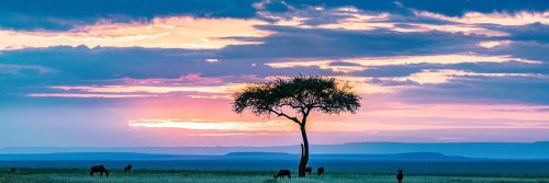 Discovering Kenya - Top Adventures and Experiences - The Wise Traveller