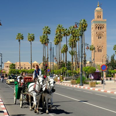 Discovering the Calmer Side of Marrakech - The Wise Traveller