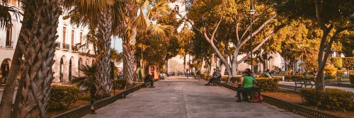 Dribble and drool - Merida Restaurants - Mexico - The Wise Traveller