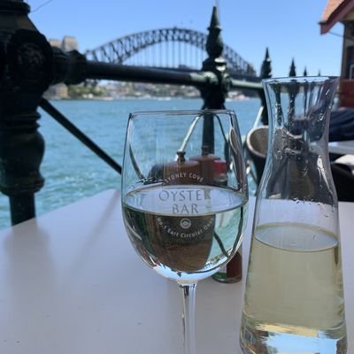 Eating Oysters - Oyster Bar - Circular Quay - Sydney - Australia - The Wise Traveller