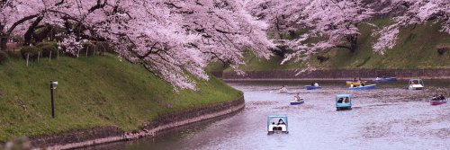 Embracing Japan's Heritage and Culture - A Holiday Extravaganza - The Wise Traveller