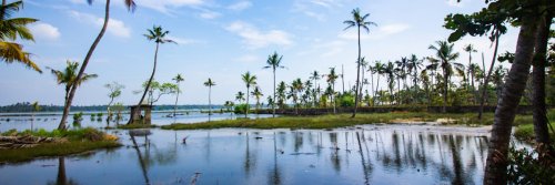 Exploring Kerala - The Wise Traveller