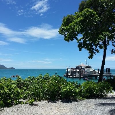 Family Reef Playgrounds - The Wise Traveller - Australia - Great Barrier Reef