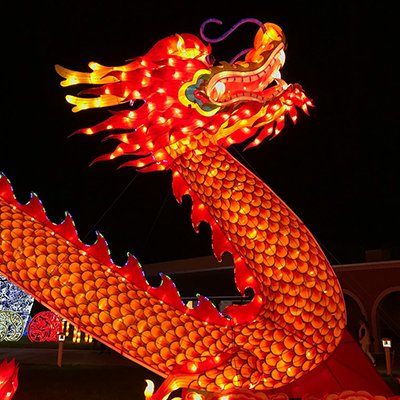 Fancy A Festival In February And March? Check These Out - The Wise Traveller