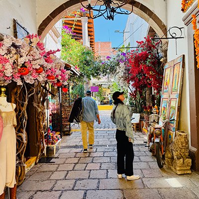 Finding the Mojigangas - San Miguel de Allende, Mexico - The Wise Traveller