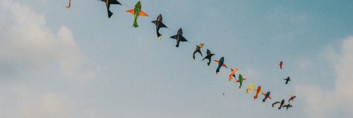 Flying Kites - India - The Wise Traveller