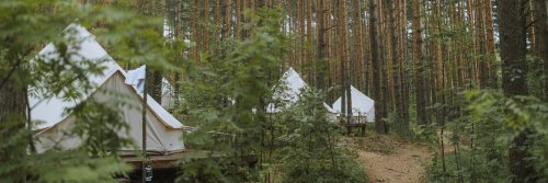 Glamp It Up - The Wise Traveller - Glamping