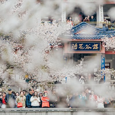 Go April! A Festival Focus - The Wise Traveller