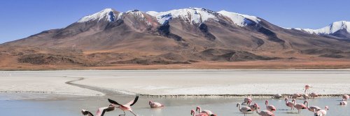 Hiking Ancient Paths in the Andean Mountains - The Wise Traveller
