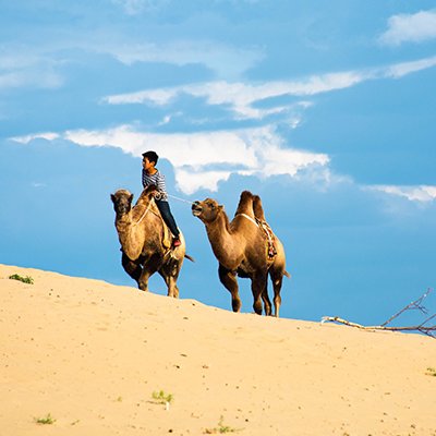 Horses, Eagles and Eating Boodog - Mongolia - The Wise Traveller