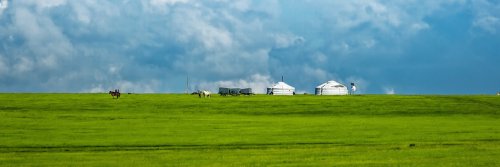 Horses, Eagles and Eating Boodog - Mongolia - The Wise Traveller