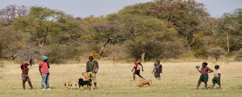 House Sitting in Zambia - The Wise Traveller