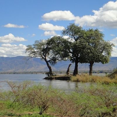 House Sitting in Zambia - The Wise Traveller