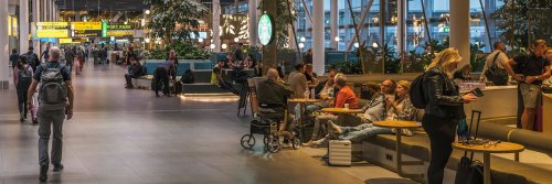 How Thoughtful Planning Makes Accessible Travel Smooth and Successful - The Wise Traveller