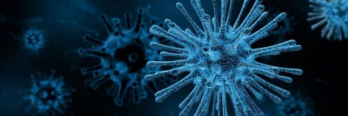 How to Avoid the Coronavirus When Travelling - The Wise Traveller