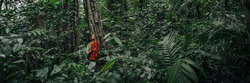How to Market to Eco-Conscious Travelers - The Wise Traveller