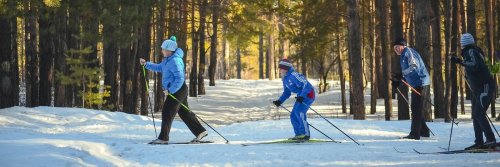 How to Plan the Best Skiing Holiday in France - The Wise Traveller