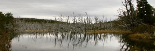 In Harmony with Nature at  Patagonia Camp - Torres del Paine - Chile - The Wise Traveller