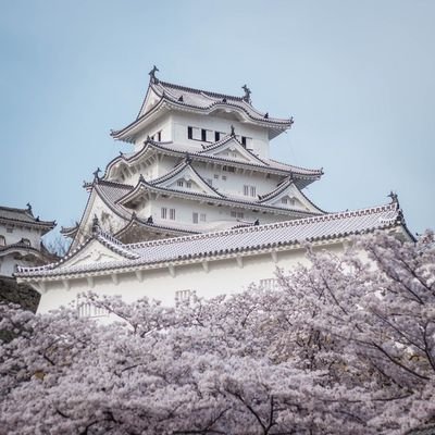 Japan National Day - The Wise Traveller - Japan