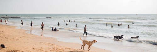 Margao, South Goa - The Wise Traveller