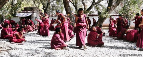 My Journey with His Holiness the Dalai Lama - The Wise Traveller - Dramatic Monk Debates on the Various Doctrines of Tibetan Buddhism