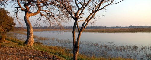 Nkala Lodge - Kafue National Park Zambia - The Wise Traveller