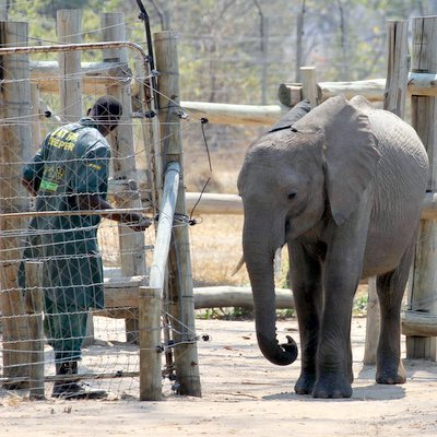 Nkala Lodge - Kafue National Park Zambia - The Wise Traveller