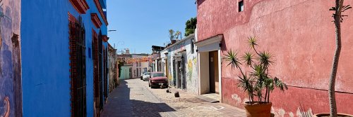 Oaxaca Street Art - Mexico - The Wise Traveller