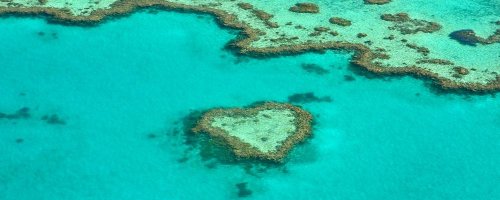 Playtime on the Great Barrier Reef - Far North Queensland - The Wise traveller