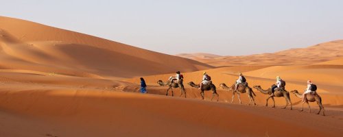 Put Yourself in the Picture in Morocco - The Wise Traveller - Desert